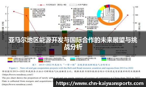 亚马尔地区能源开发与国际合作的未来展望与挑战分析